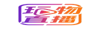 st站回放